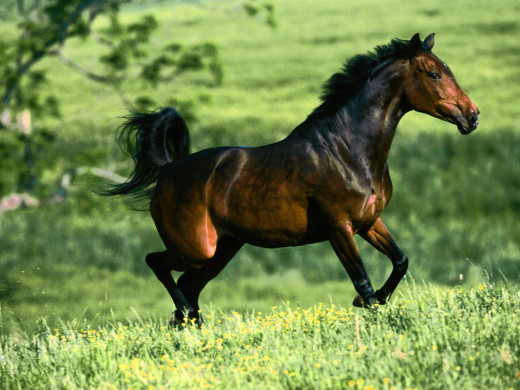 354130 (a): :1600x1200